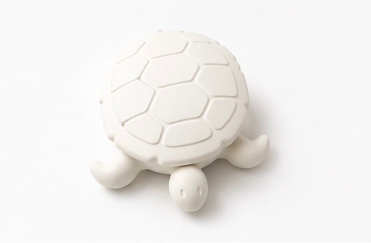 Coastal Keepsake Turtle - Trinket Dish Luxe