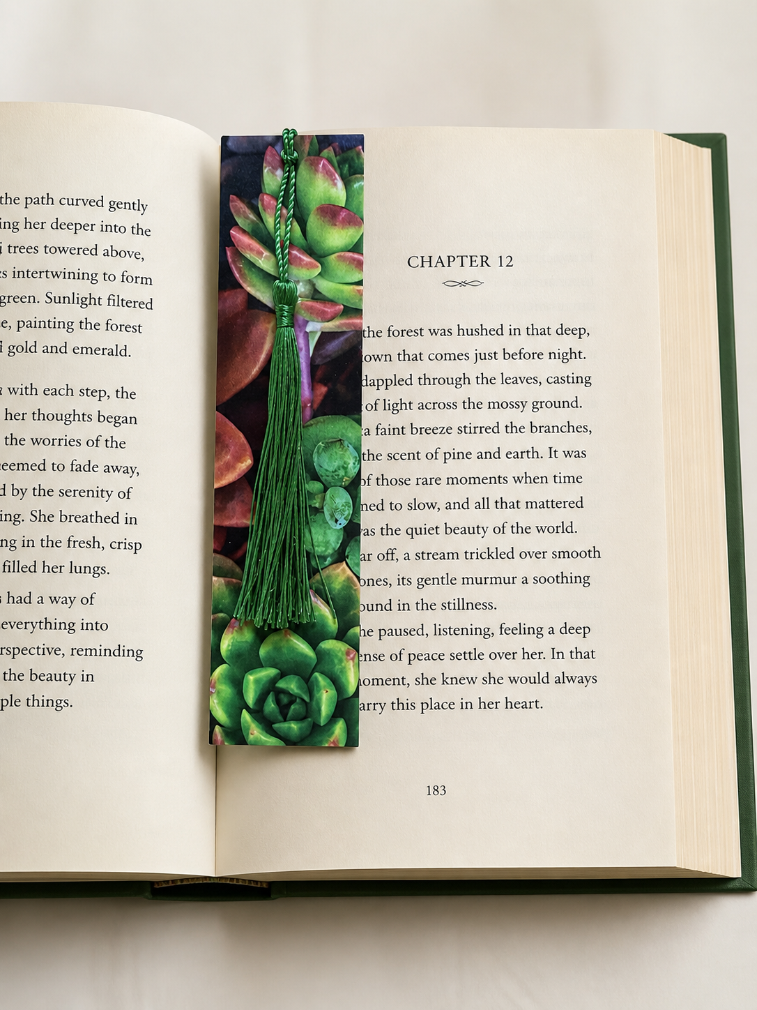 Succulent Plants Bookmark