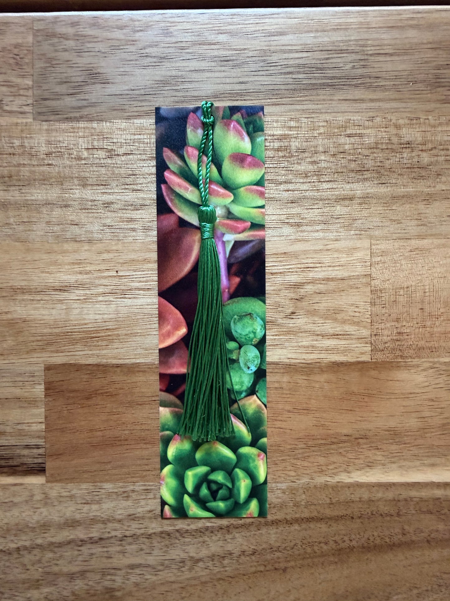 Succulent Plants Bookmark