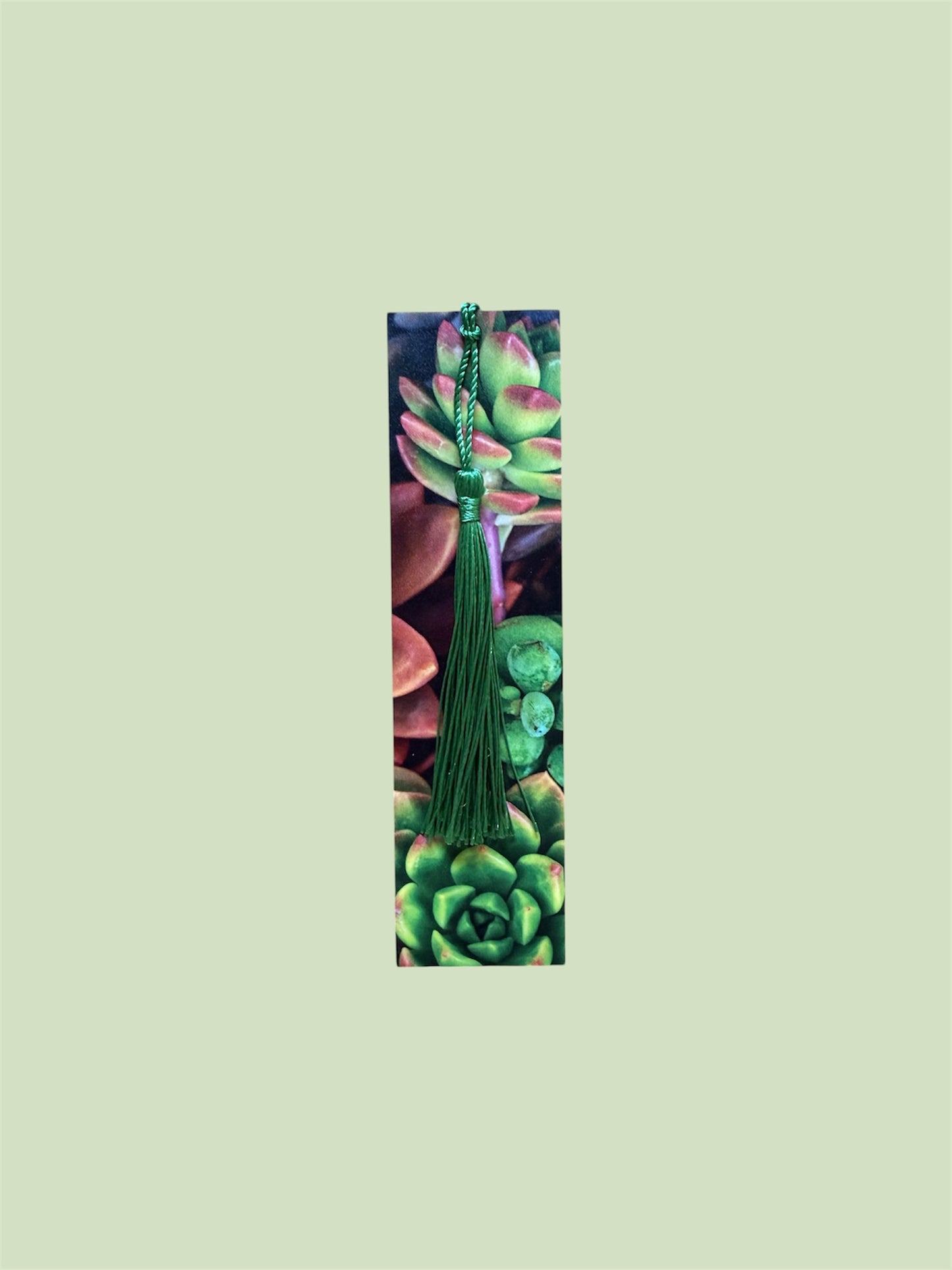 Succulent Plants Bookmark